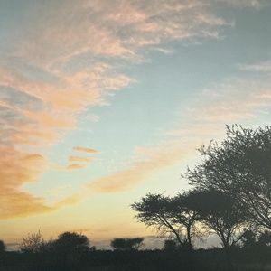 Meet your Posher, Annmarie